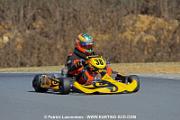 DSC_3700 copie